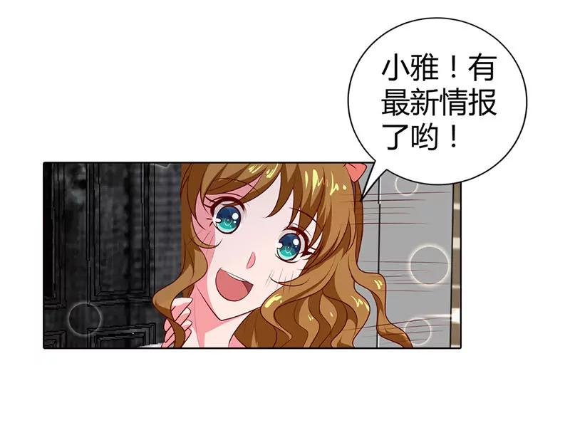 我的小金丝雀