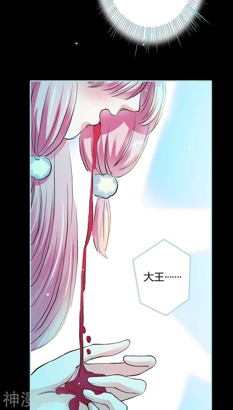 第20话 大王，我们来世再见