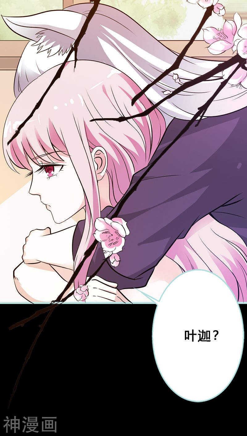 第41话 攻略叶伽