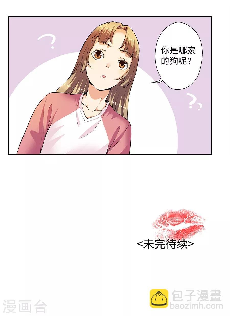 第33话1 捡到一只狗