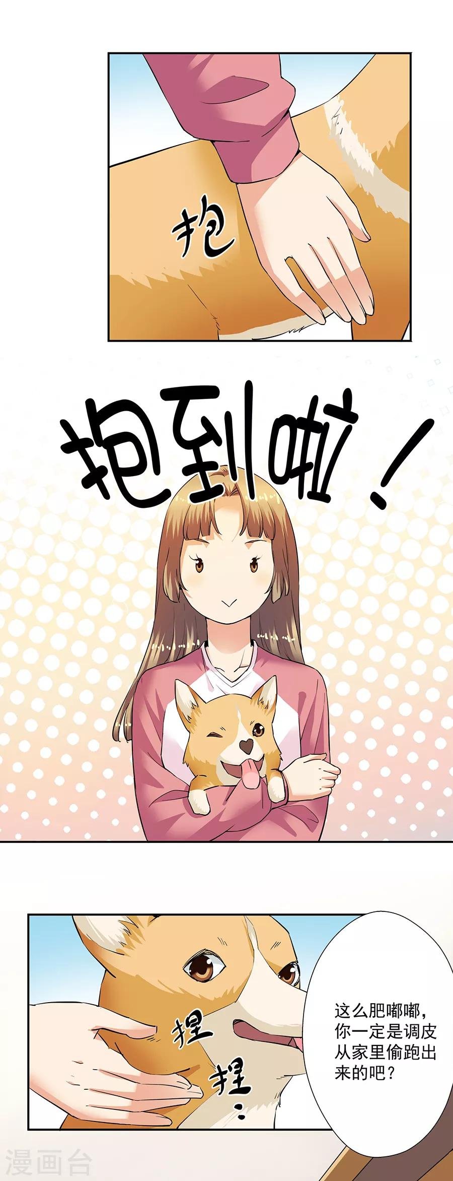 第33话2 捡到一只狗