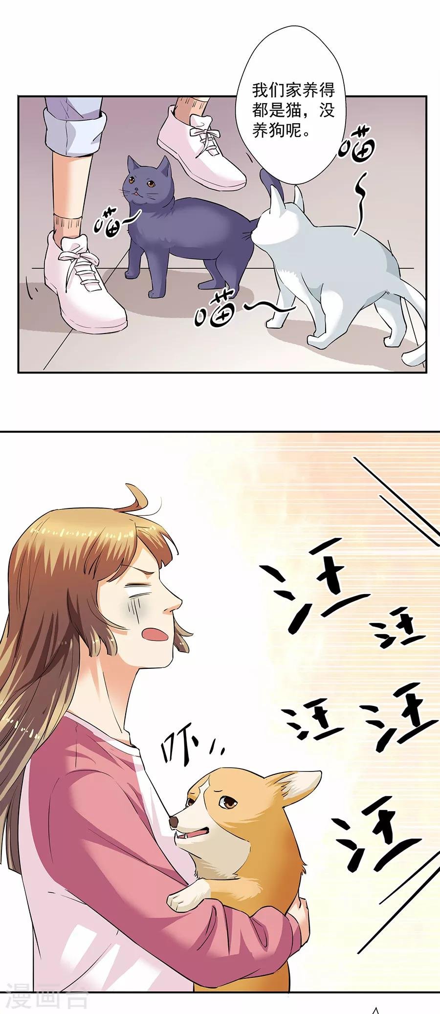 第33话2 捡到一只狗