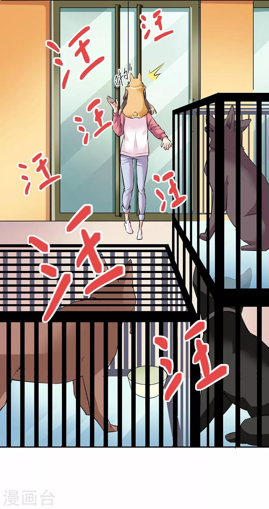第33话2 捡到一只狗