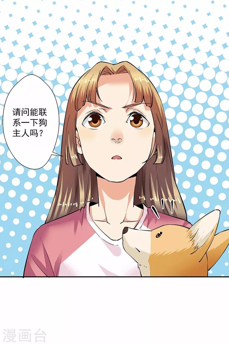 第33话2 捡到一只狗