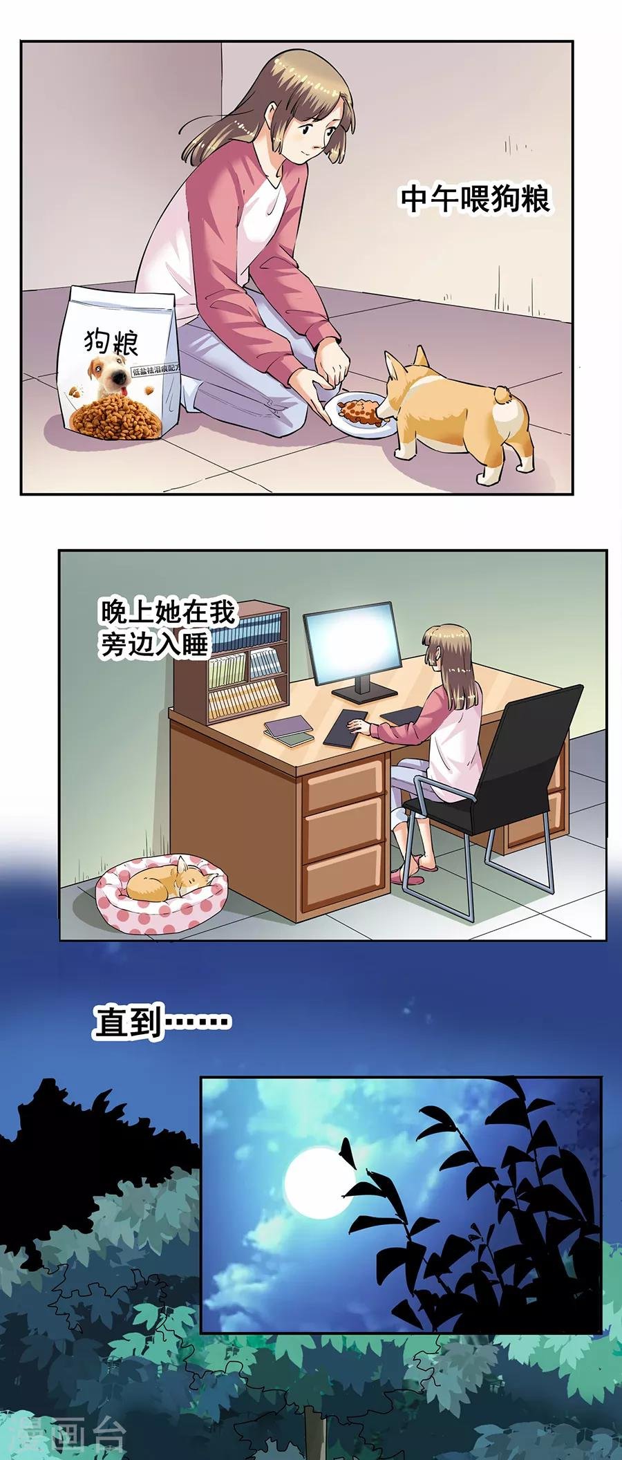第33话3 捡到一只狗