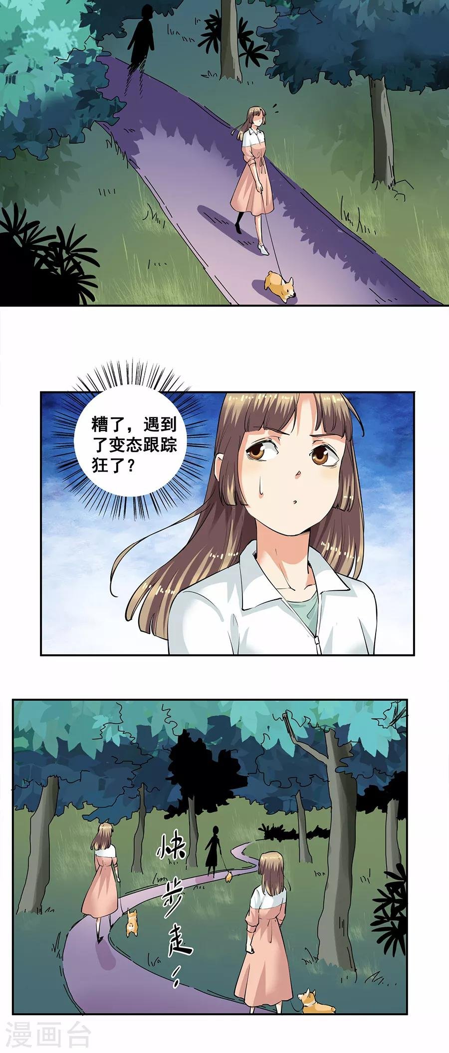 第33话3 捡到一只狗
