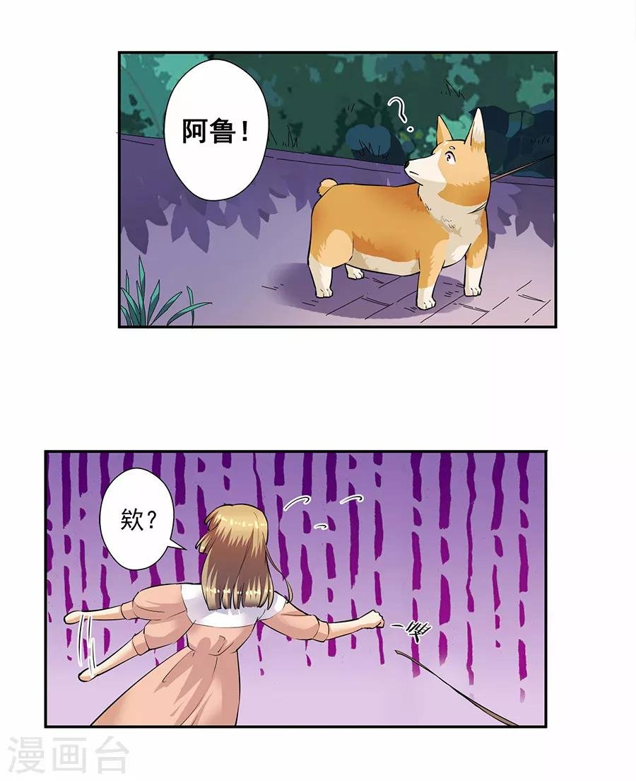第33话3 捡到一只狗