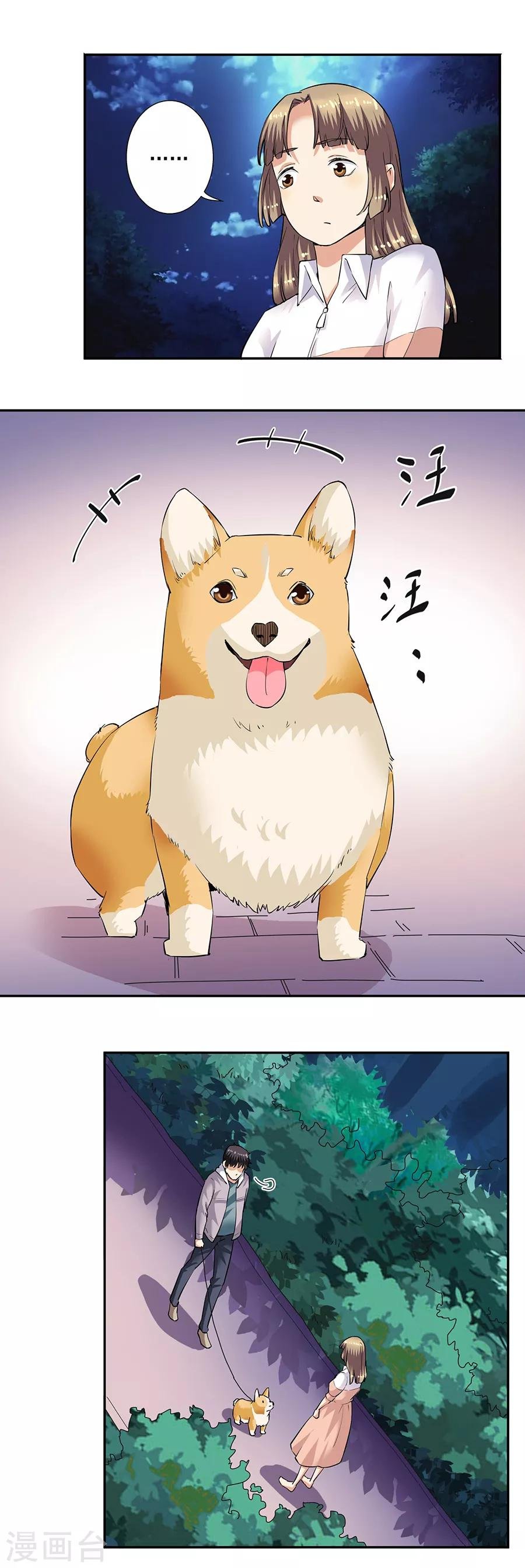 第33话4 捡到一只狗
