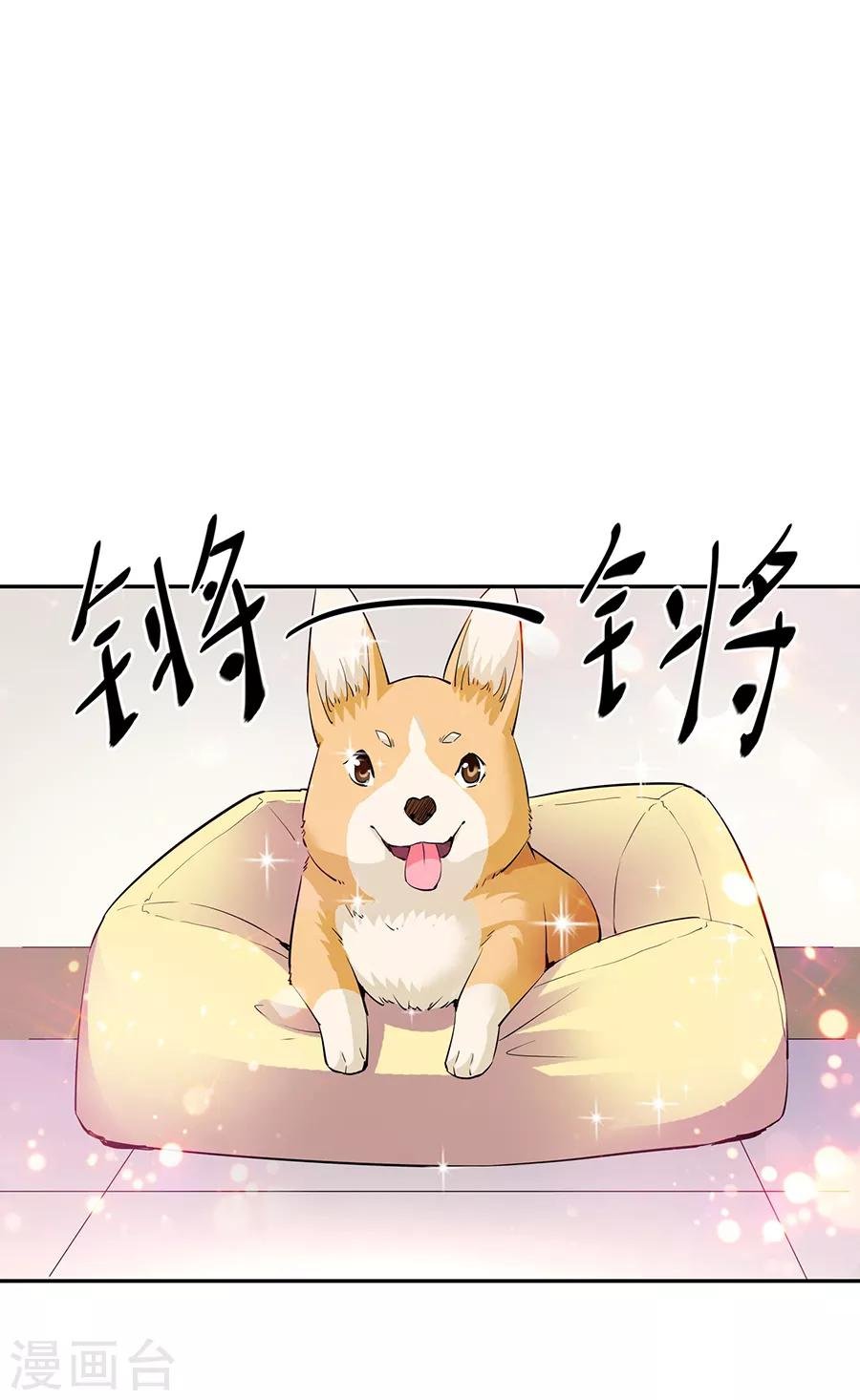 第33话6 捡到一只狗