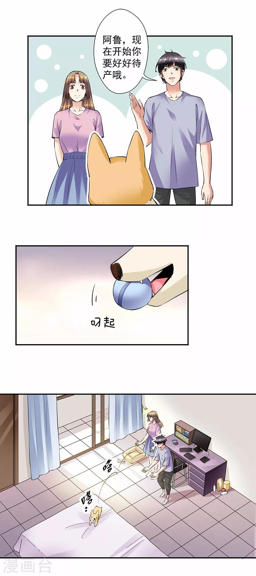 第33话6 捡到一只狗