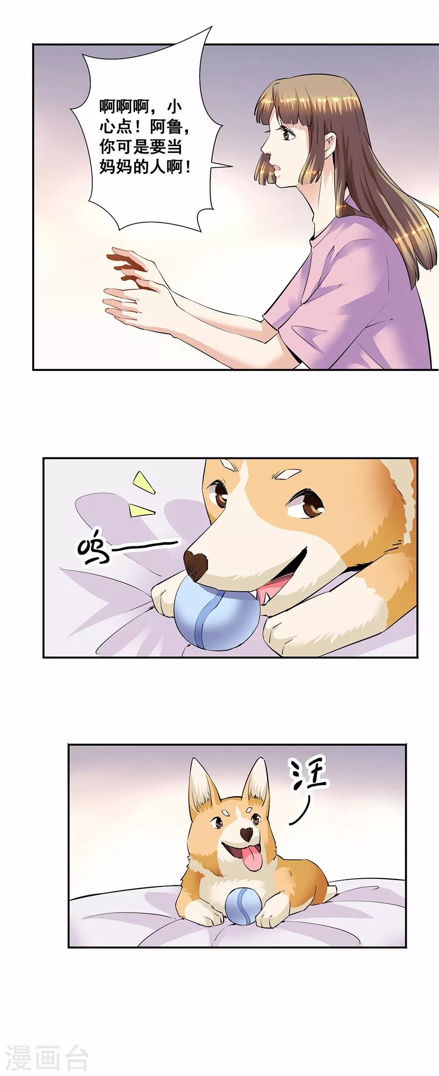 第33话6 捡到一只狗