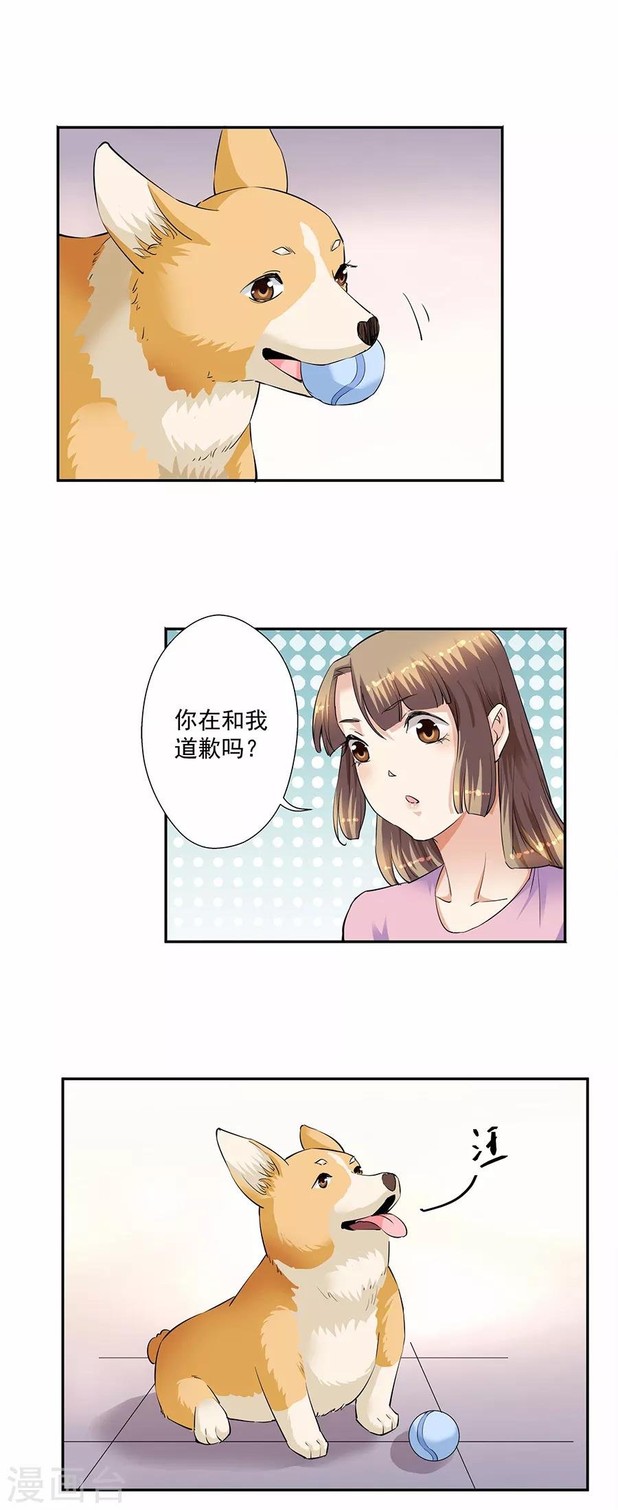 第33话6 捡到一只狗