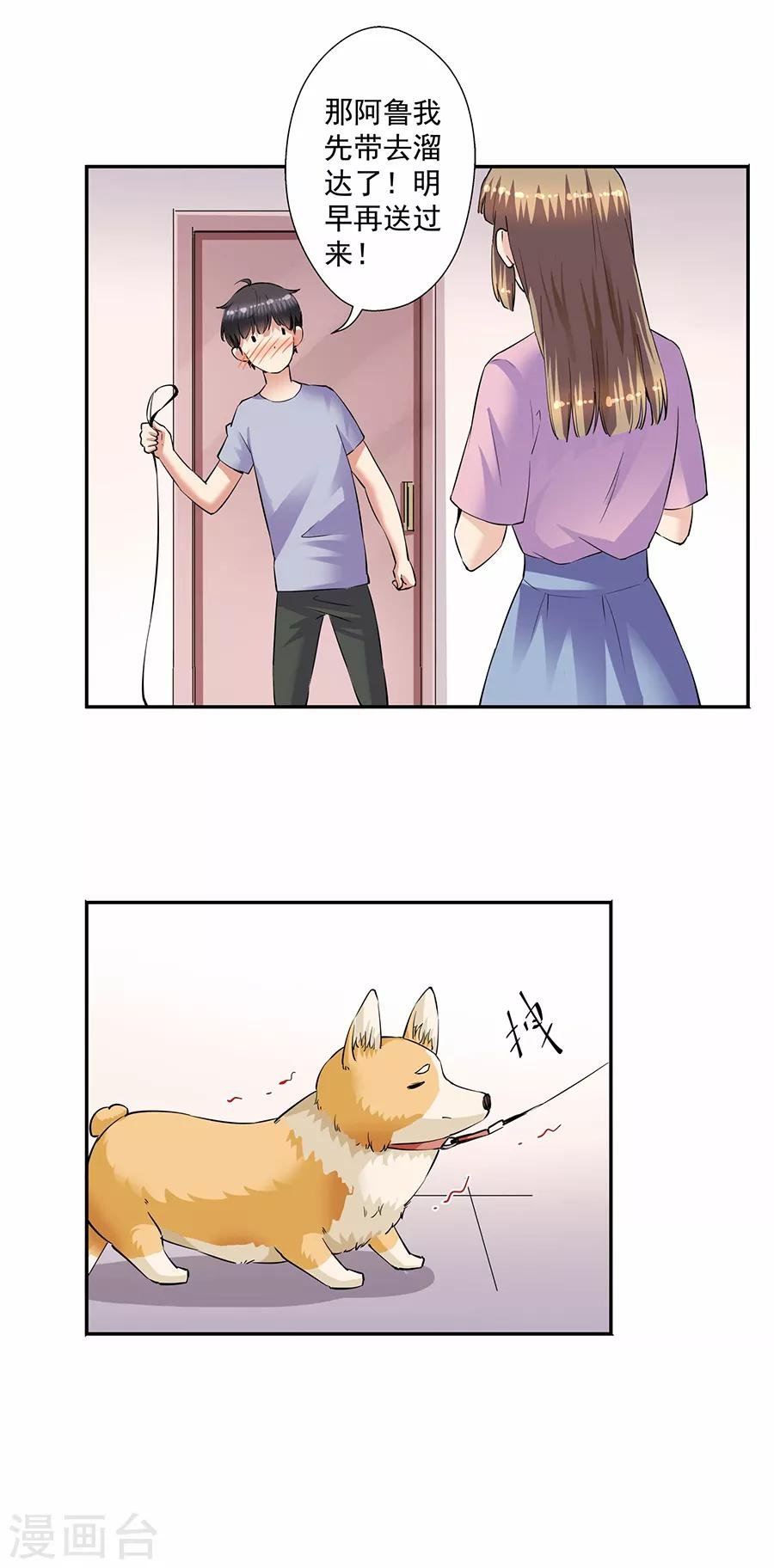 第33话7 捡到一只狗
