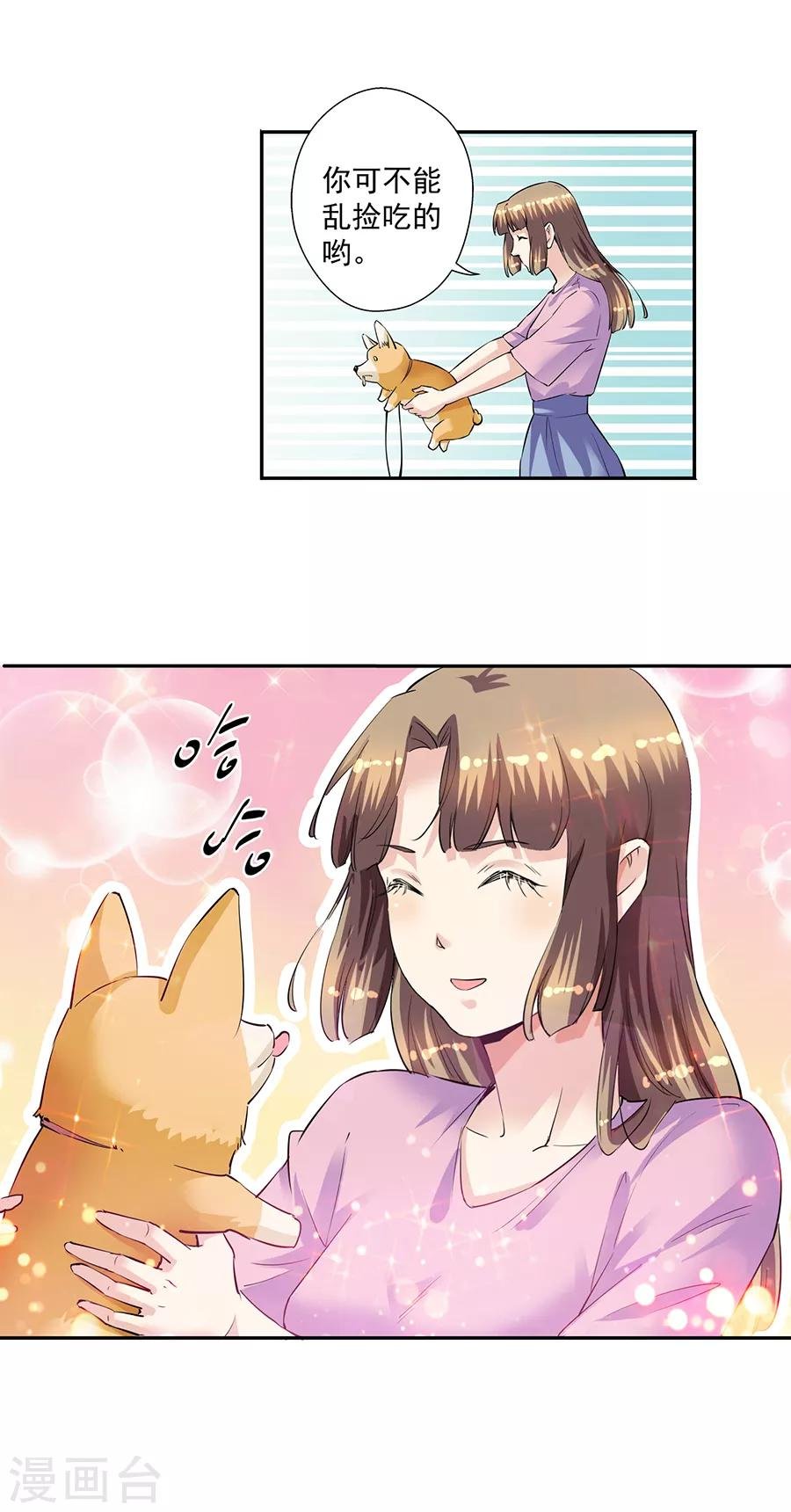 第33话7 捡到一只狗