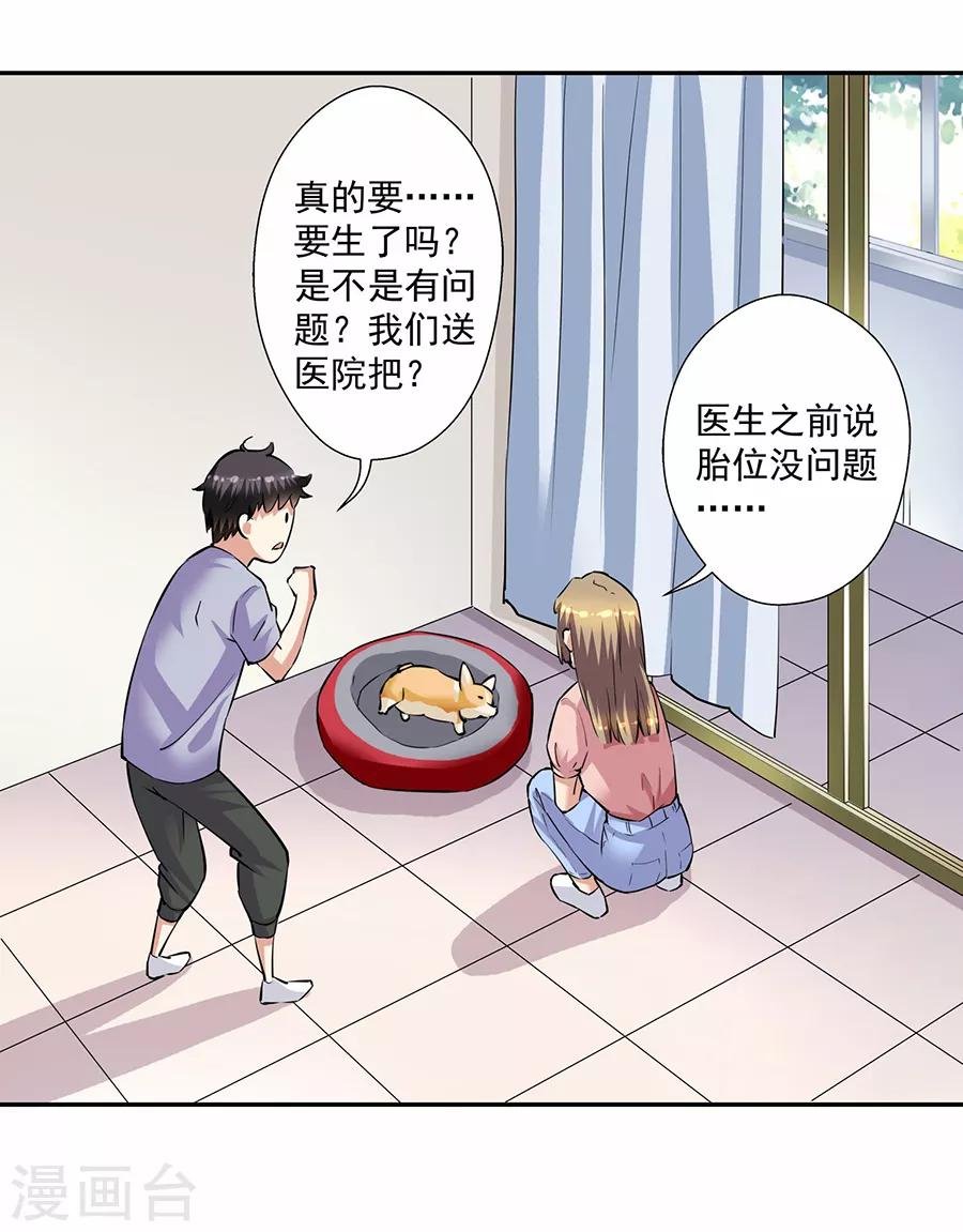 第33话7 捡到一只狗