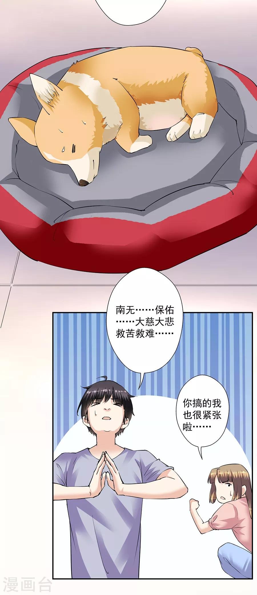 第33话7 捡到一只狗