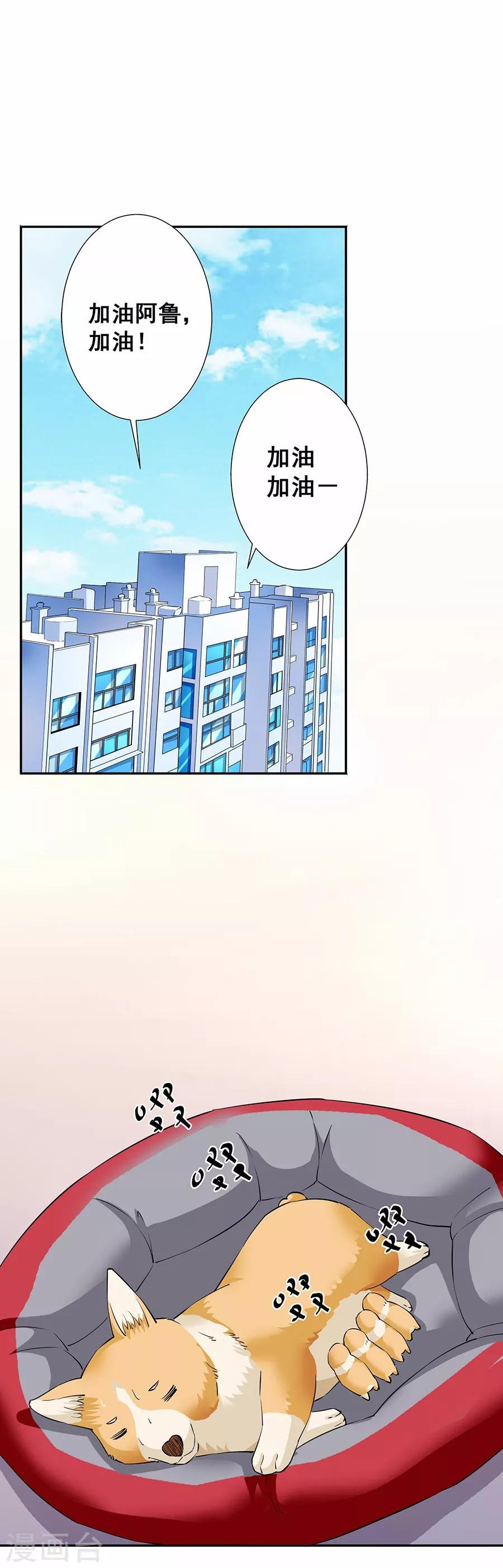 第33话8 捡到一只狗