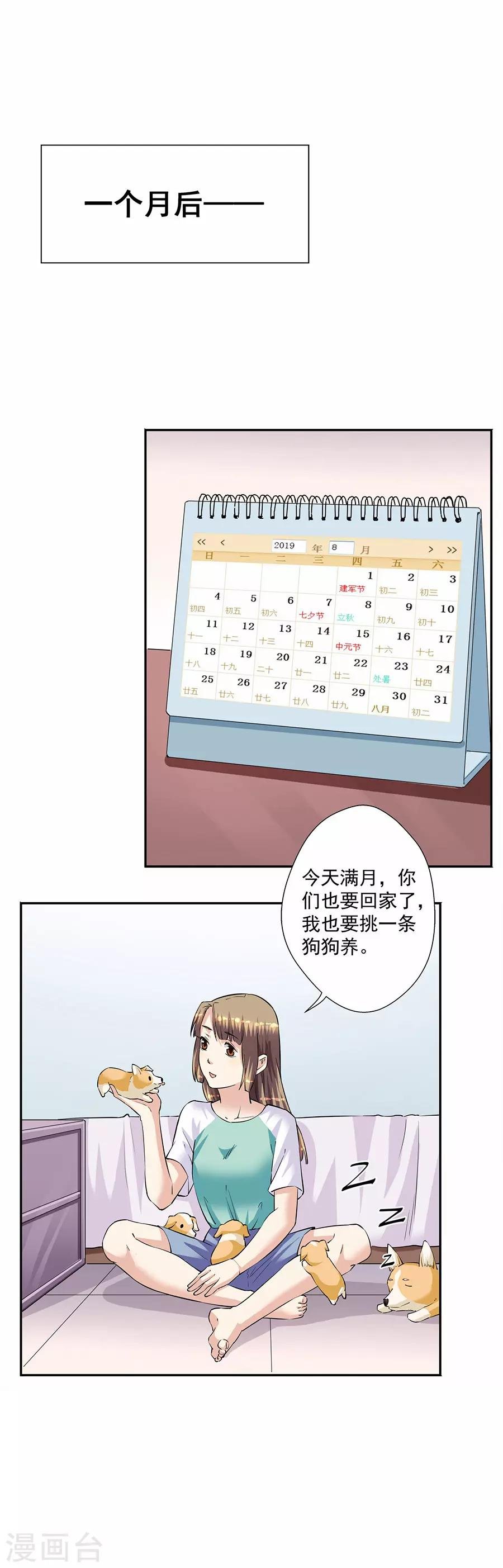 第33话8 捡到一只狗