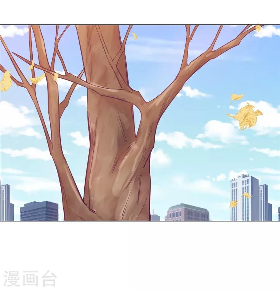 第20话6 和陌生人结婚了