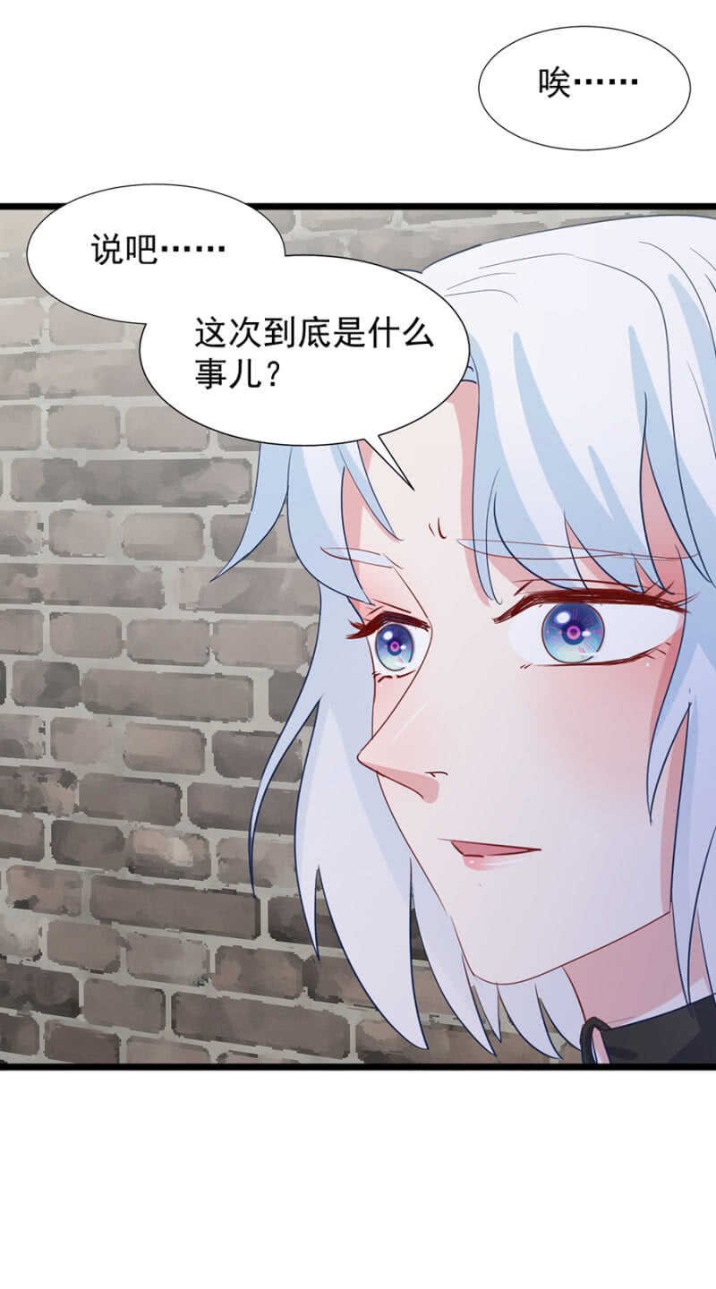 你要背叛主人？！