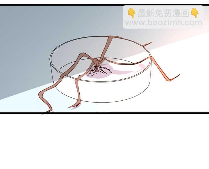 秦瑟瑟的生日