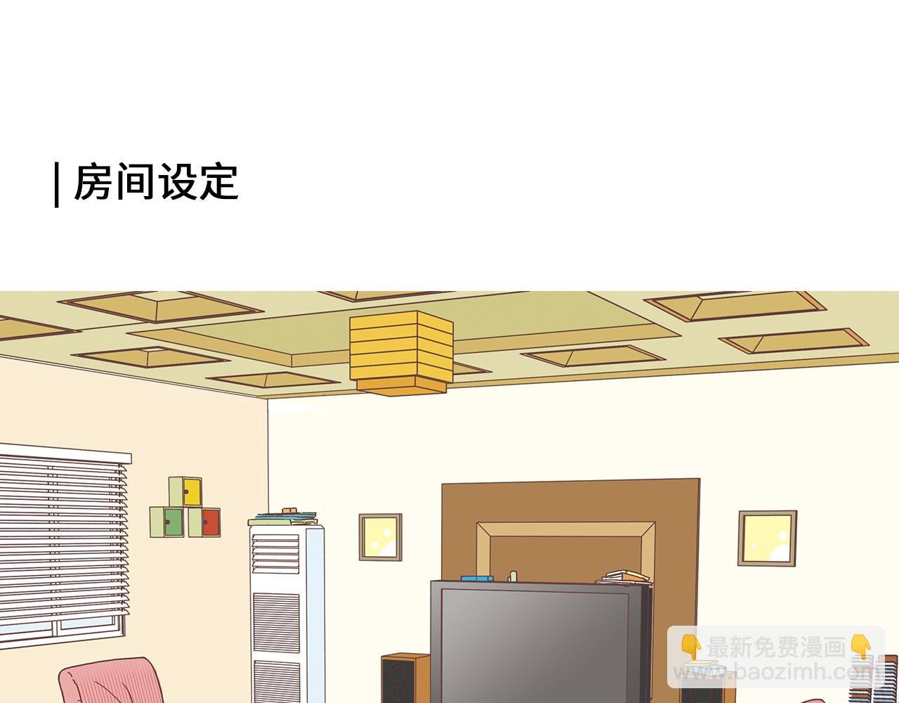 设定与专栏