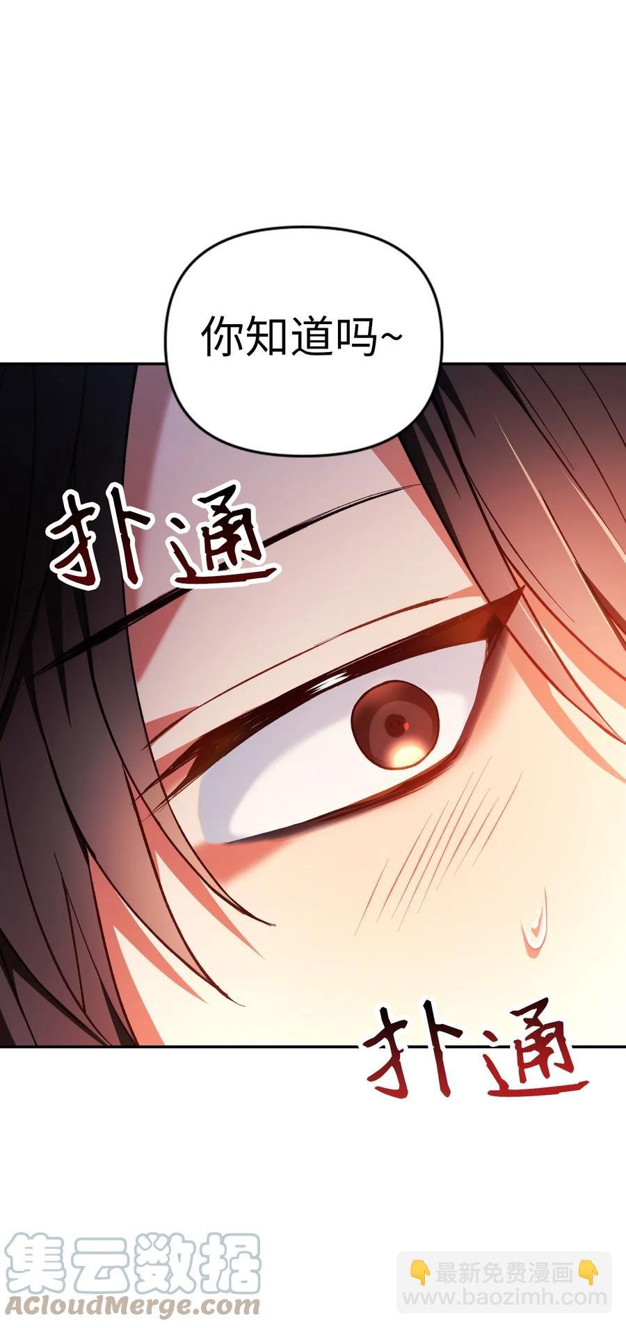 009 同类