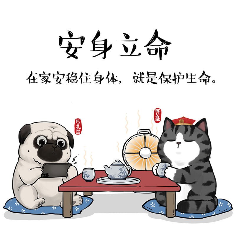 14 《吾皇巴扎黑防疫指南》白茶