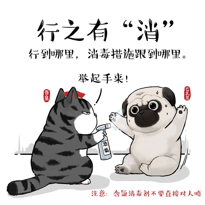 14 《吾皇巴扎黑防疫指南》白茶