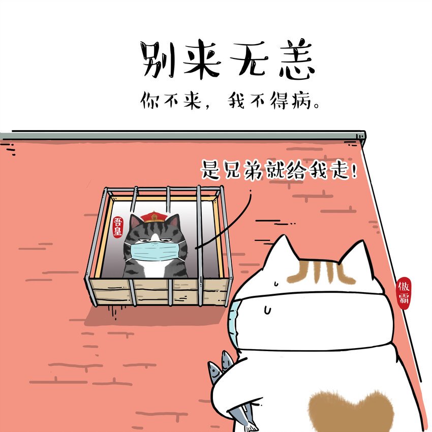14 《吾皇巴扎黑防疫指南》白茶