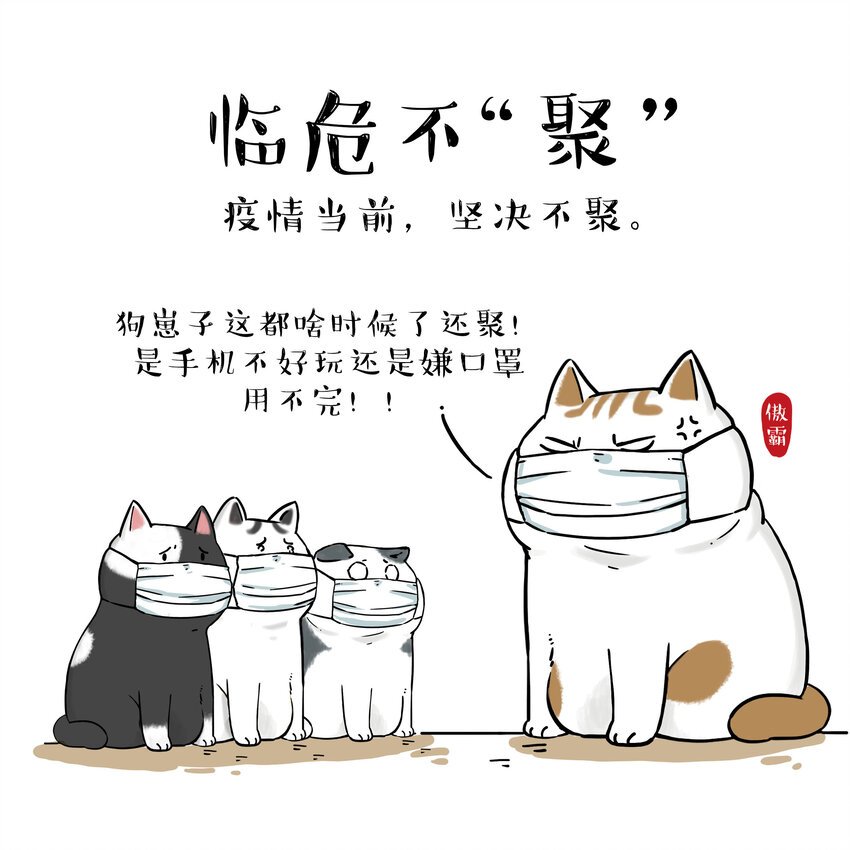 14 《吾皇巴扎黑防疫指南》白茶