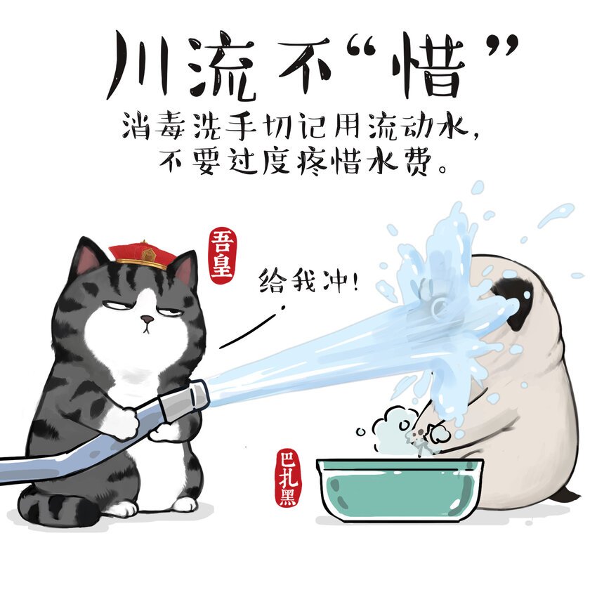 14 《吾皇巴扎黑防疫指南》白茶