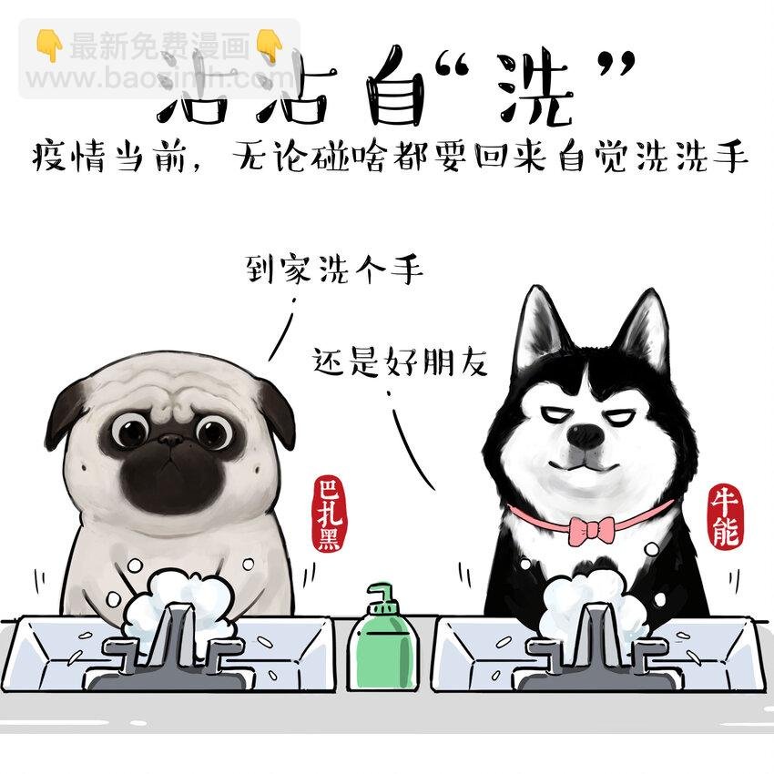 14 《吾皇巴扎黑防疫指南》白茶