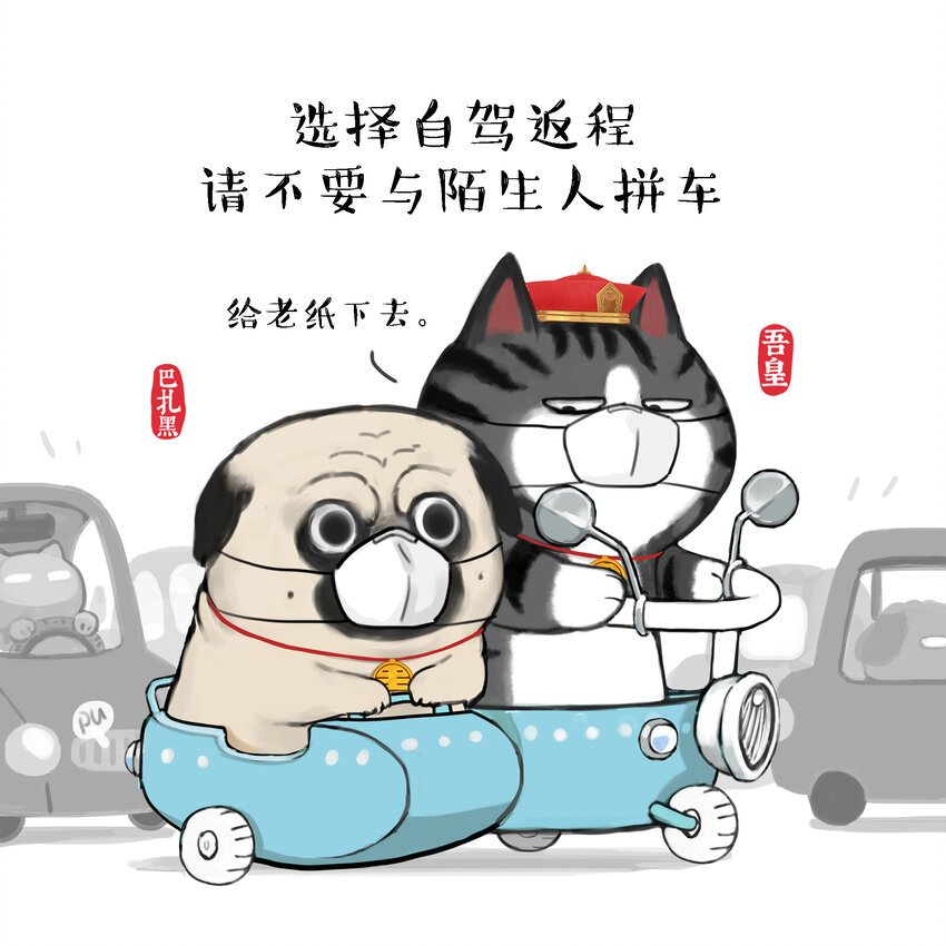 15 《返程要注意的那些事》白茶