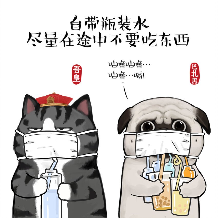15 《返程要注意的那些事》白茶