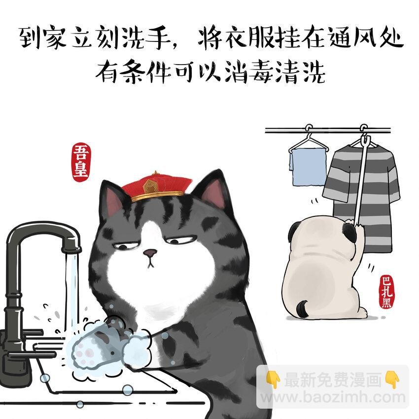 15 《返程要注意的那些事》白茶