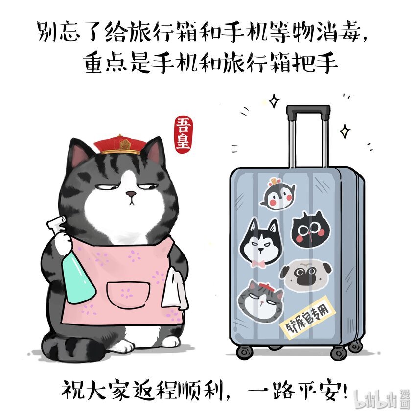 15 《返程要注意的那些事》白茶