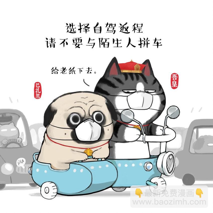 16 《消毒科普》白茶
