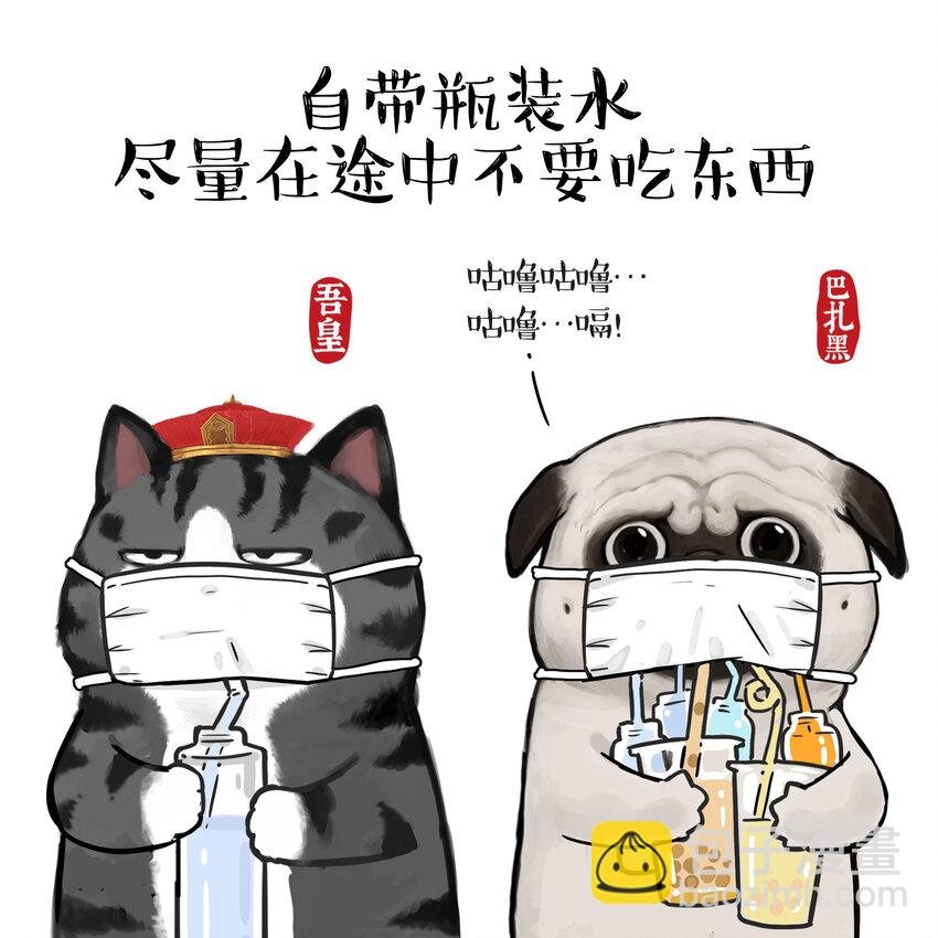 16 《消毒科普》白茶