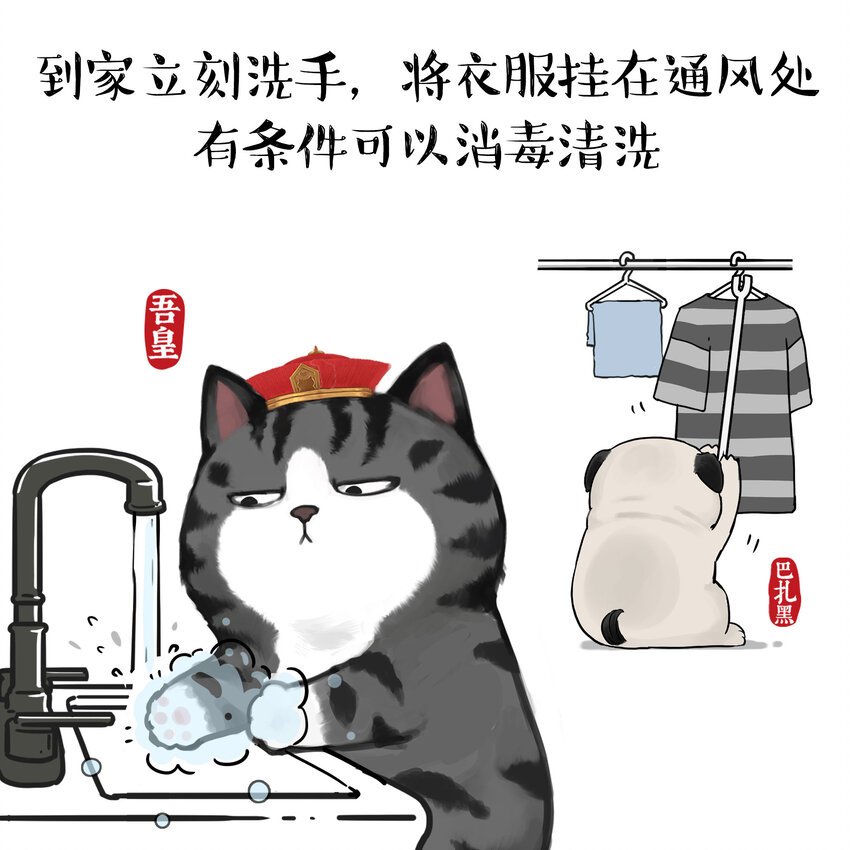 16 《消毒科普》白茶