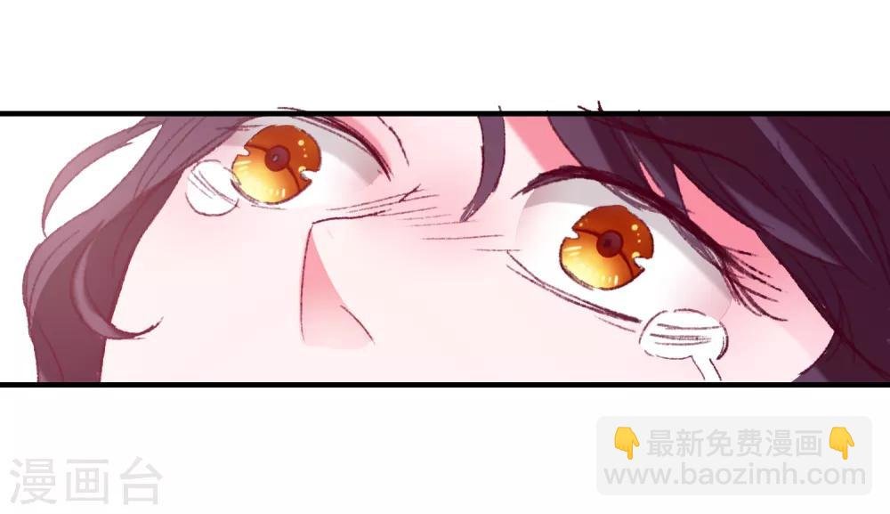 第37话 狗熊救美