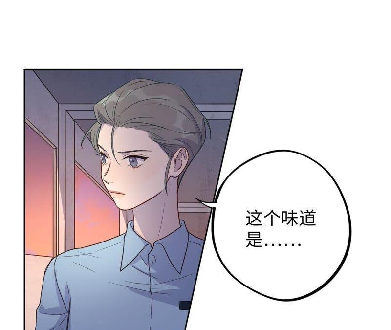 第44话 相逢与相认