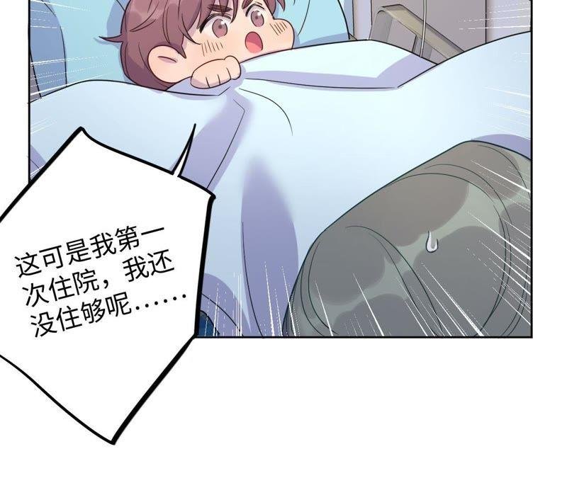 第56话 欢迎岁岁正式入伙！