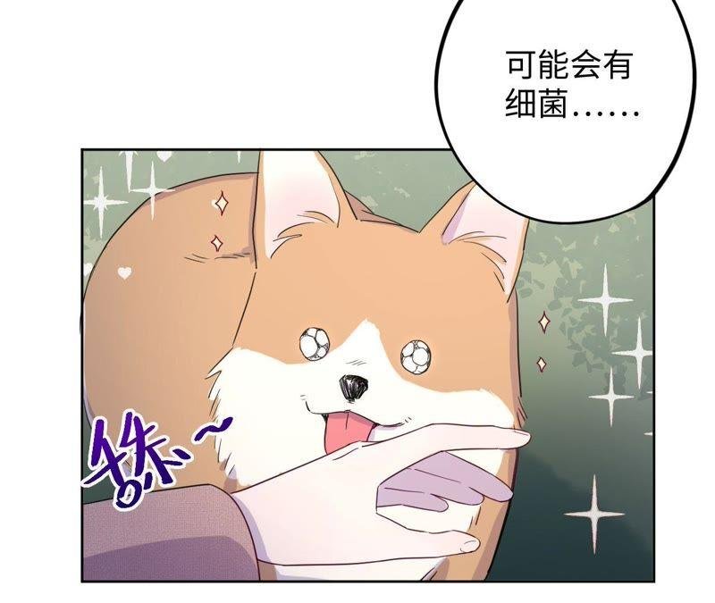 第64话 常肃又被……