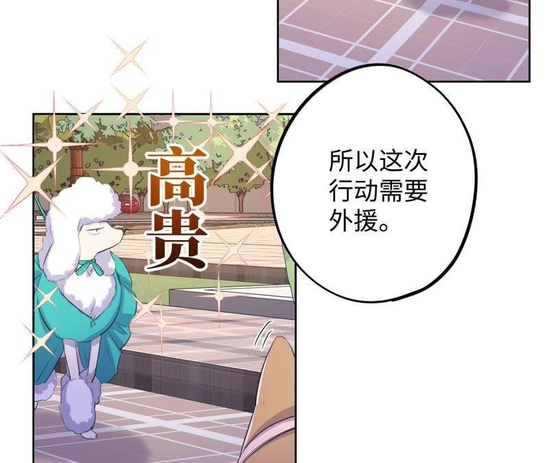 第74话 反击战开始！