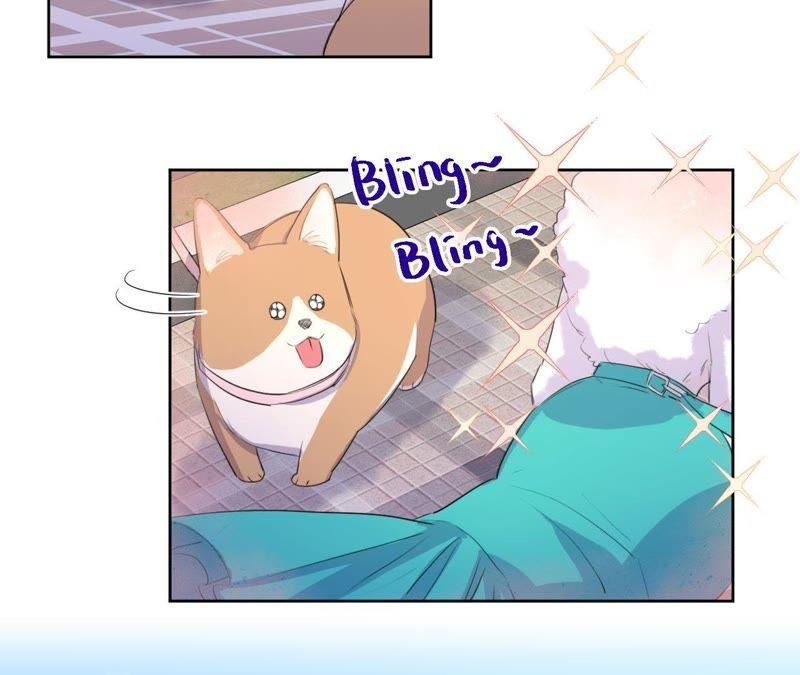 第74话 反击战开始！
