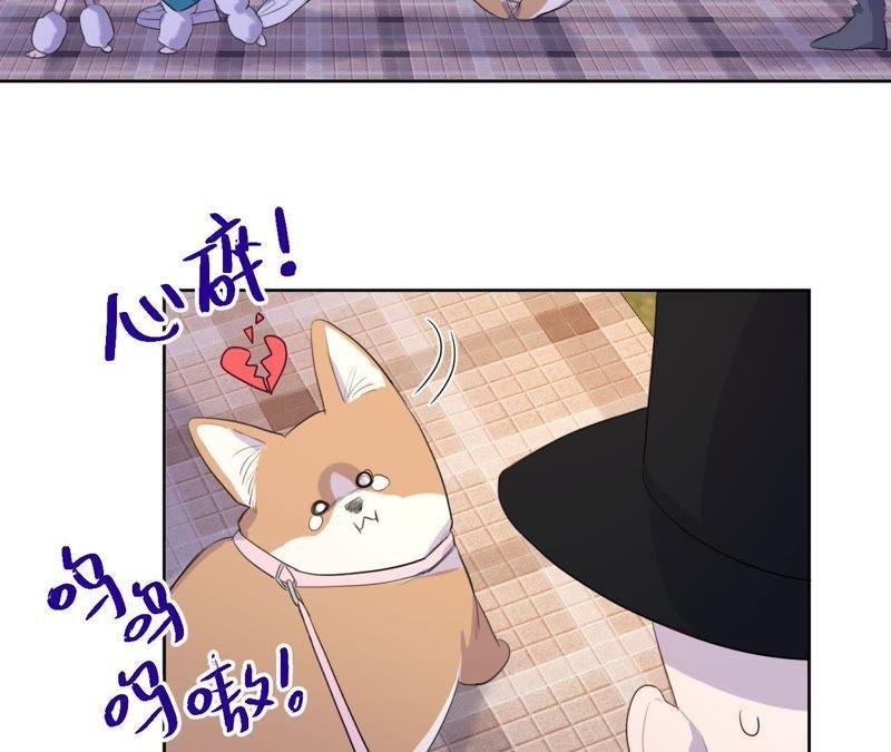第74话 反击战开始！