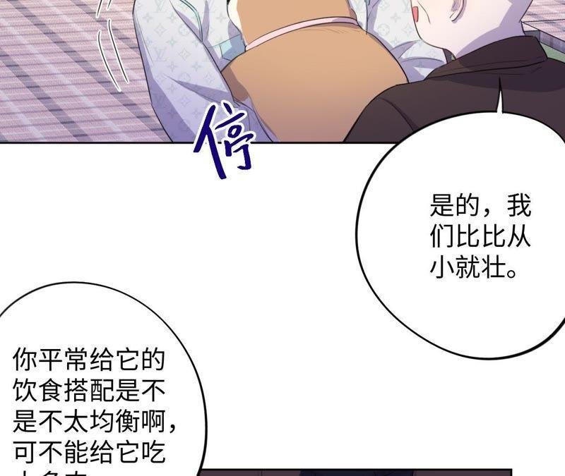 第74话 反击战开始！
