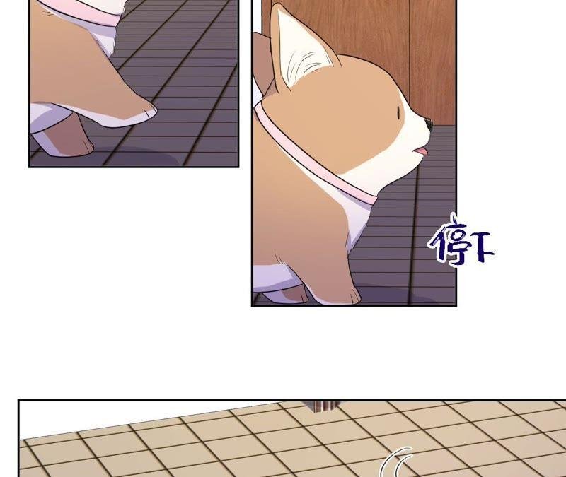 第81话 条件置换