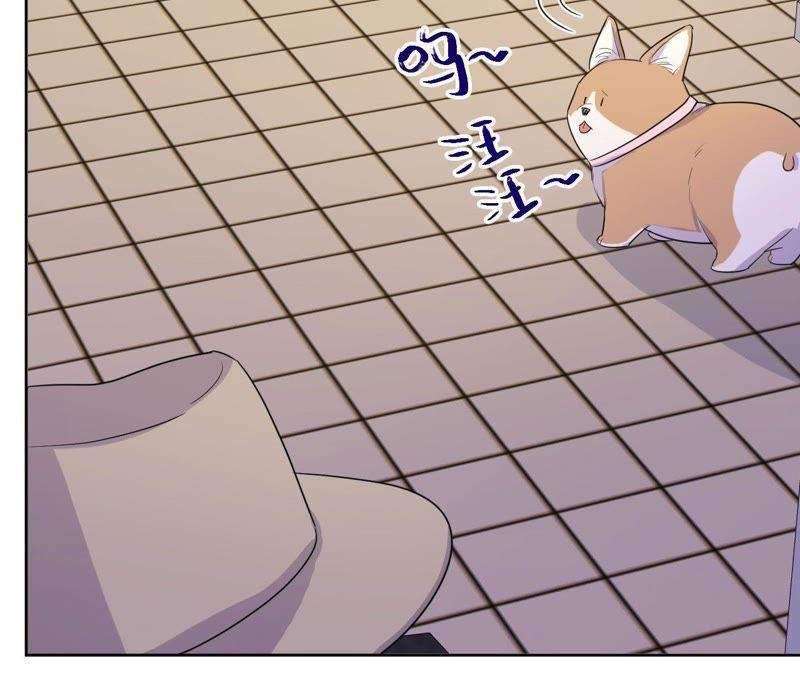 第81话 条件置换